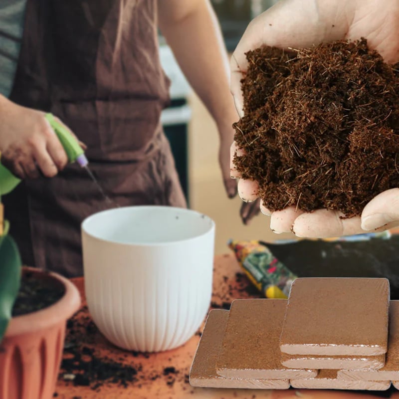 š±Hot Sale 50% OFFā° - Premium Organic Coconut Coir Bricks For Plants