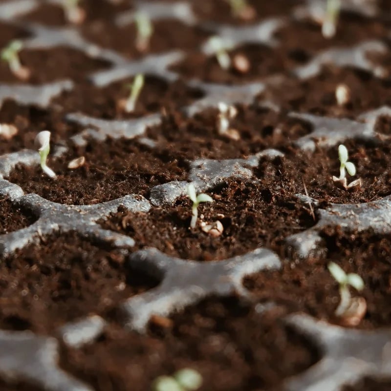 š±Hot Sale 50% OFFā° - Premium Organic Coconut Coir Bricks For Plants
