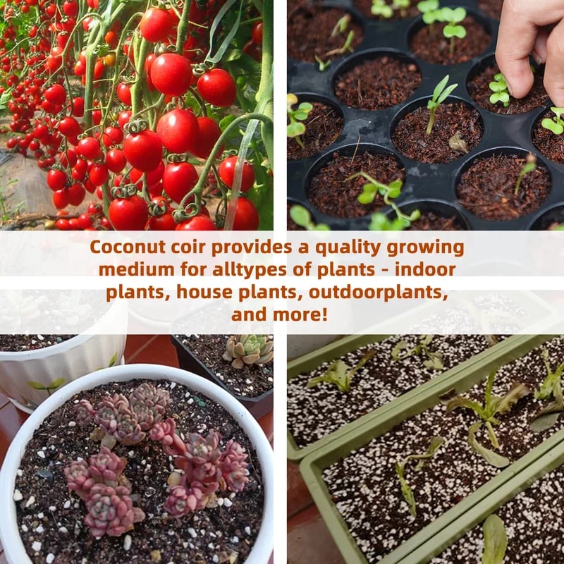 š±Hot Sale 50% OFFā° - Premium Organic Coconut Coir Bricks For Plants