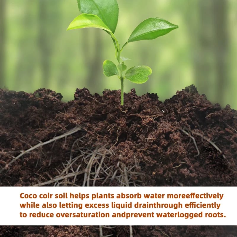 š±Hot Sale 50% OFFā° - Premium Organic Coconut Coir Bricks For Plants