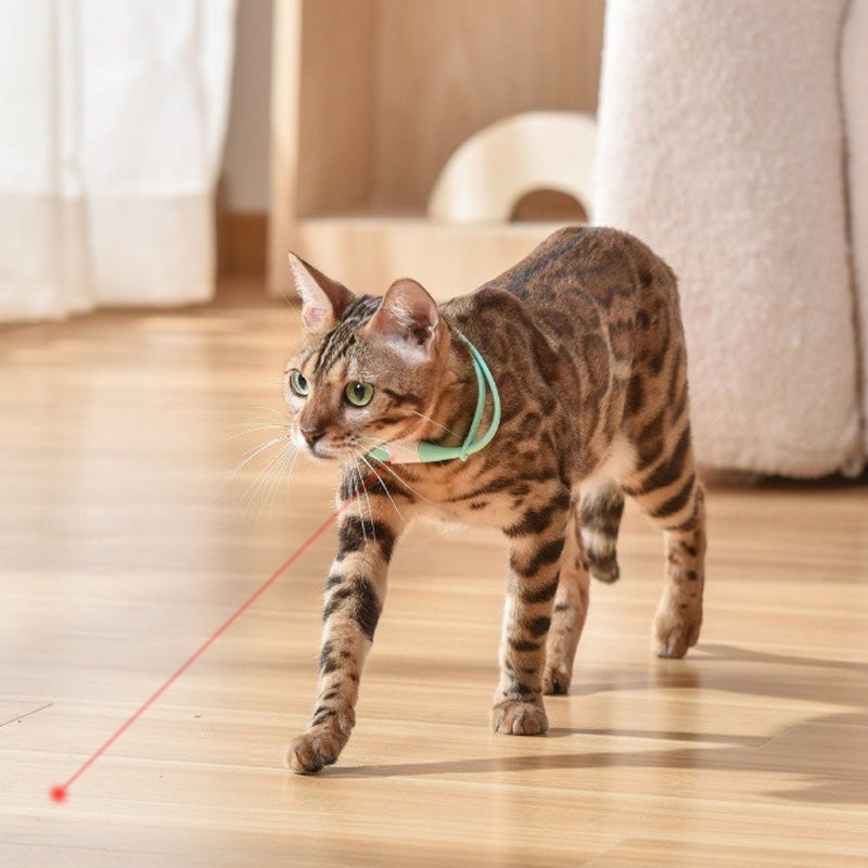 šHot Saleš±Rechargeable Wearable Electronic Collar for Cat