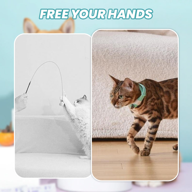 šHot Saleš±Rechargeable Wearable Electronic Collar for Cat