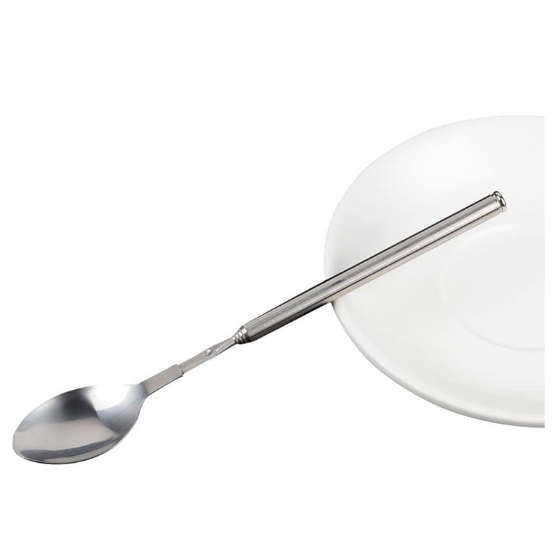 Stainless Steel Extendable Fork