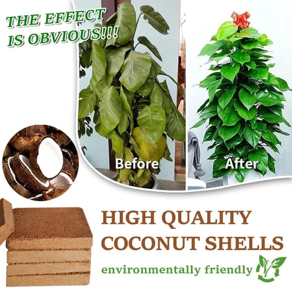 🌱Hot Sale 50% OFF⏰ - Premium Organic Coconut Coir Bricks For Plants