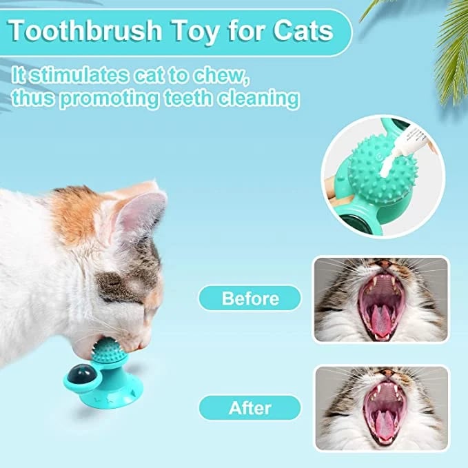 🔥BIG SALE - 49% OFF🔥🔥 Interactive Windmill Cat Toys with Catnip