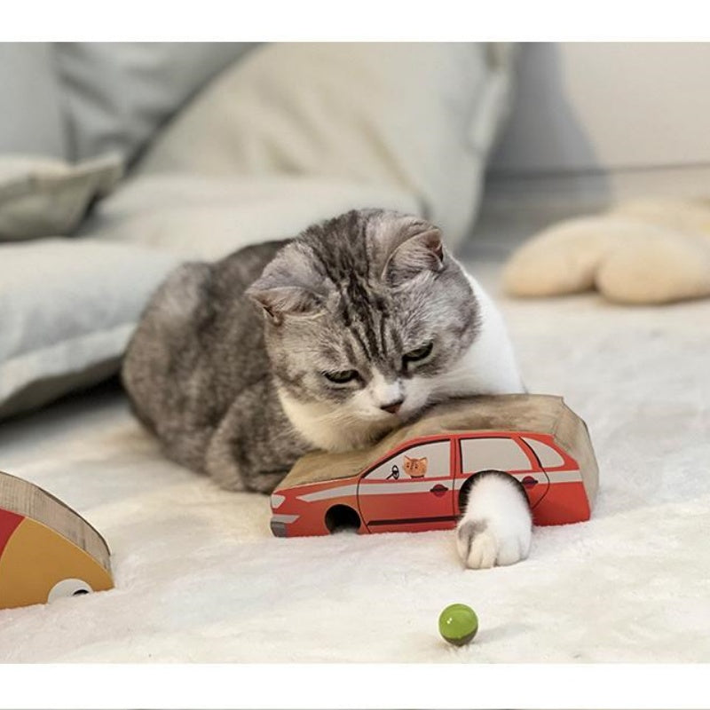 The Perfect Toy for Your Cat—With a Twist!