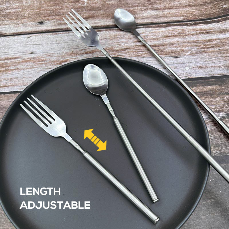 Stainless Steel Extendable Fork