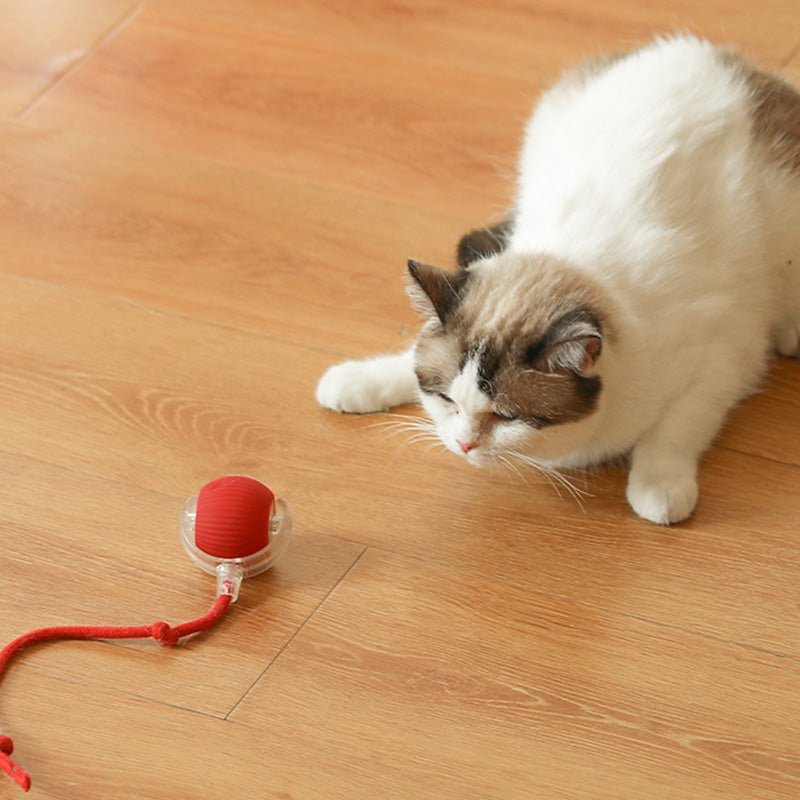 Smart Automatic Rolling Pet Ball