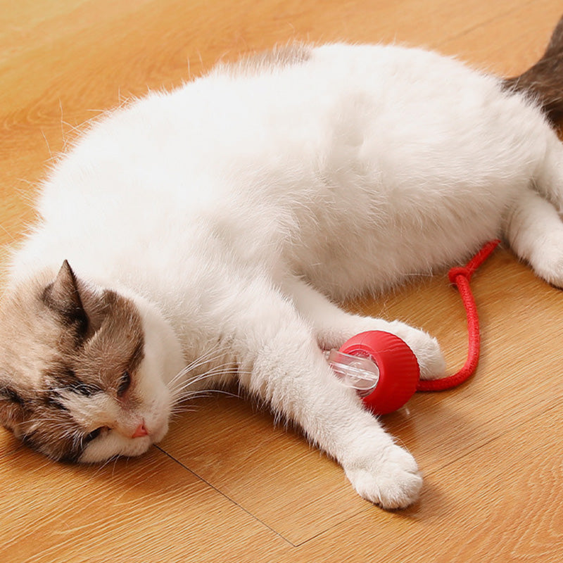 Smart Automatic Rolling Pet Ball