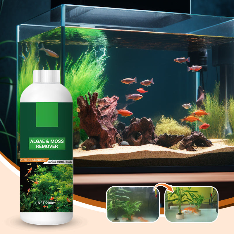 🎉Buy More Save More💥 Algae & Moss Remover for Fish Tank - Safe Water Purification