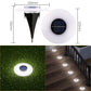 🔥Hot Sale 50% Off 💥Solar Outdoor Lawn Lights