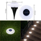 🔥Hot Sale 50% Off 💥Solar Outdoor Lawn Lights