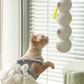 Interactive Electric Caterpillar Cat Toy(Free Shipping)